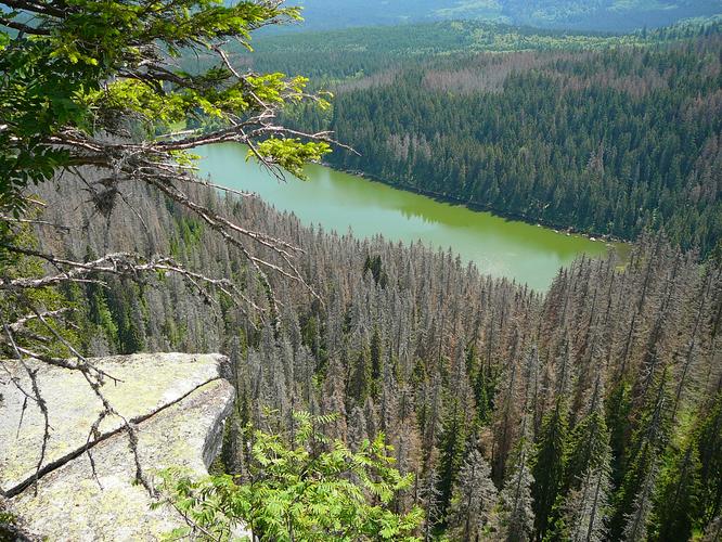 Plešné jezero Plešné jezero